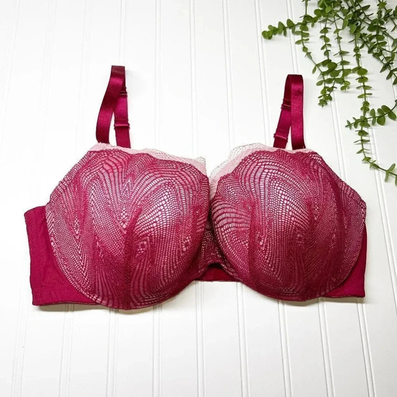 Cacique - Lane Bryant Wine & Pink Lace Lightly Lined Balconette Bra Size 42DDD - Picture 1 of 6
